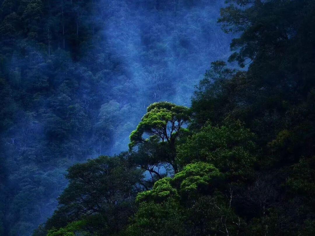 逃离隐秘的洞穴